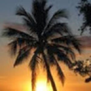 Meet your Posher, Janene